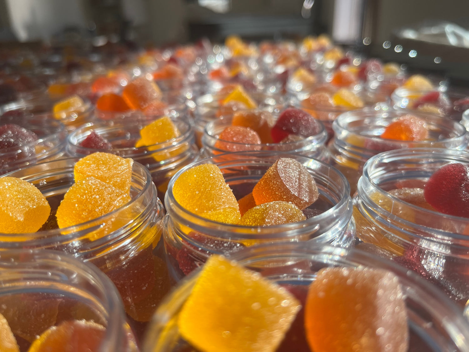 Tasty Fruit Puree Gummies